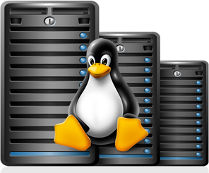 linux dedicated hosting