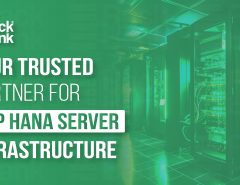 SAP HANA